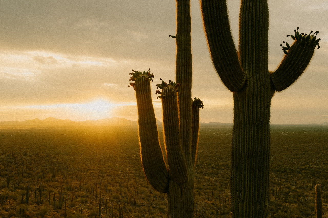 A Photographer’s Adventures in the Great Southwest