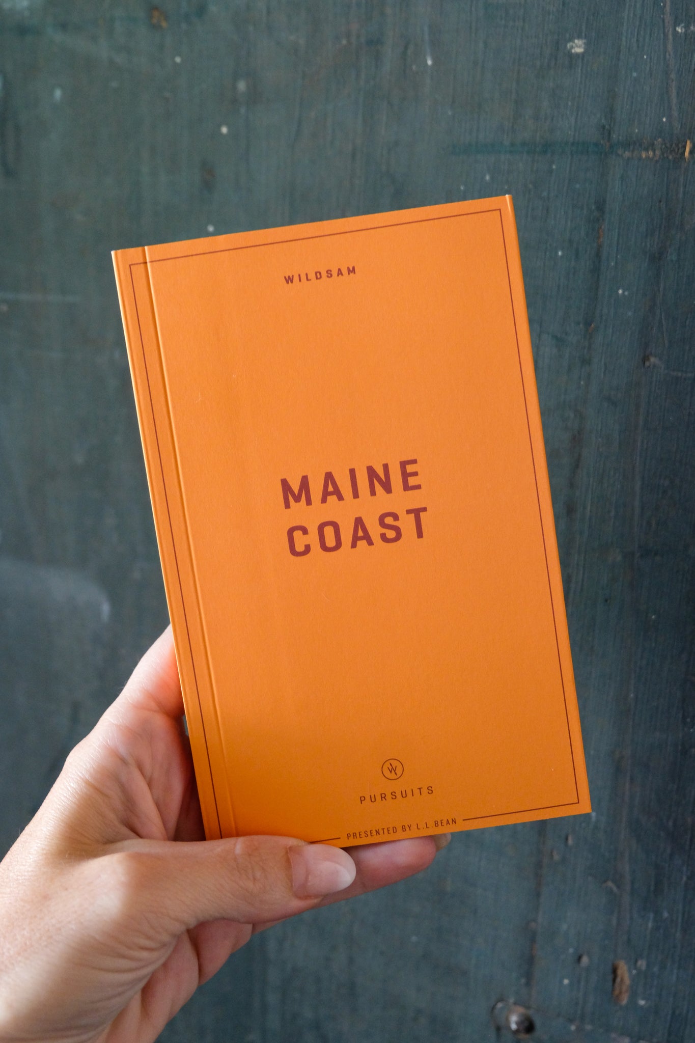 MAINE COAST