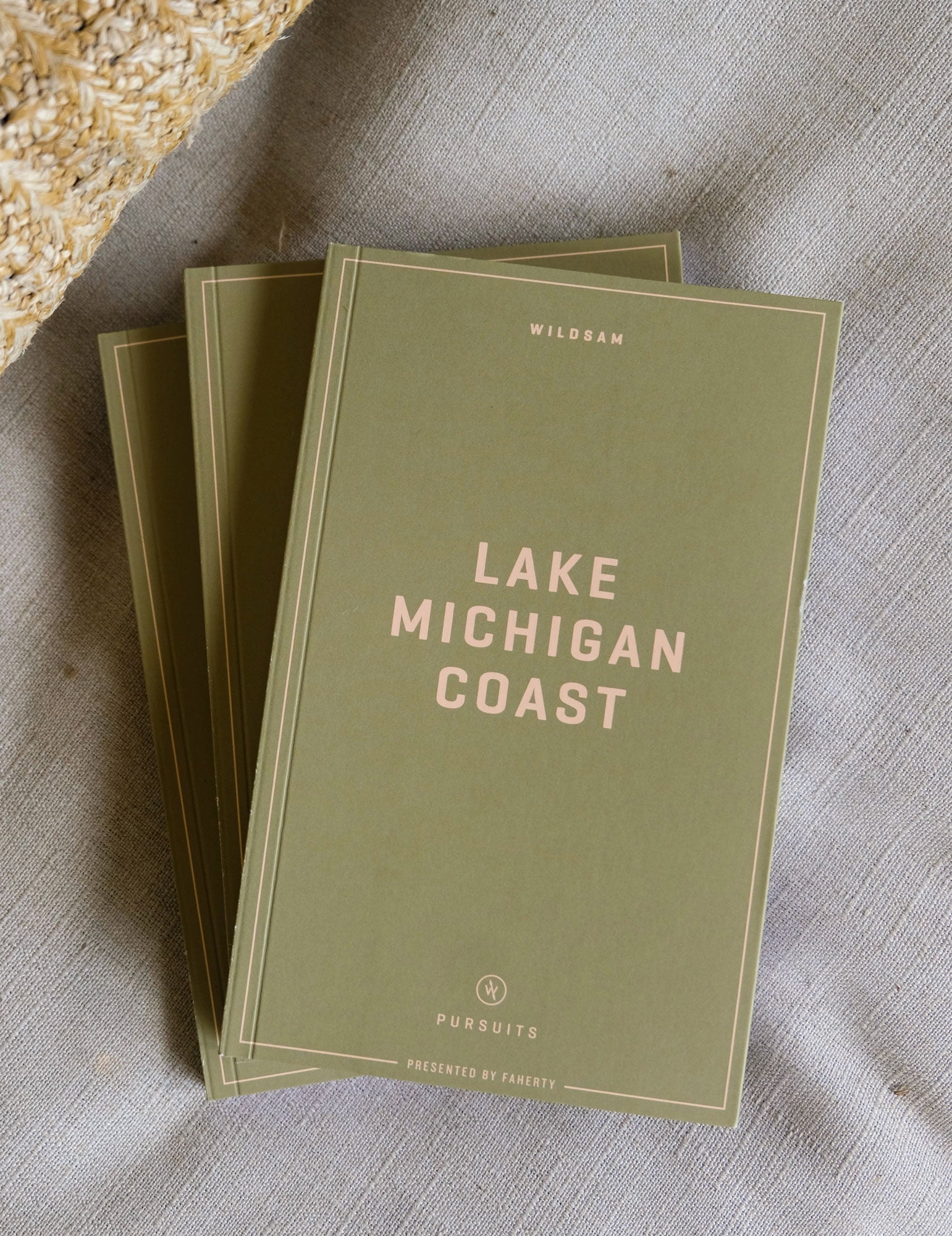 LAKE MICHIGAN COAST