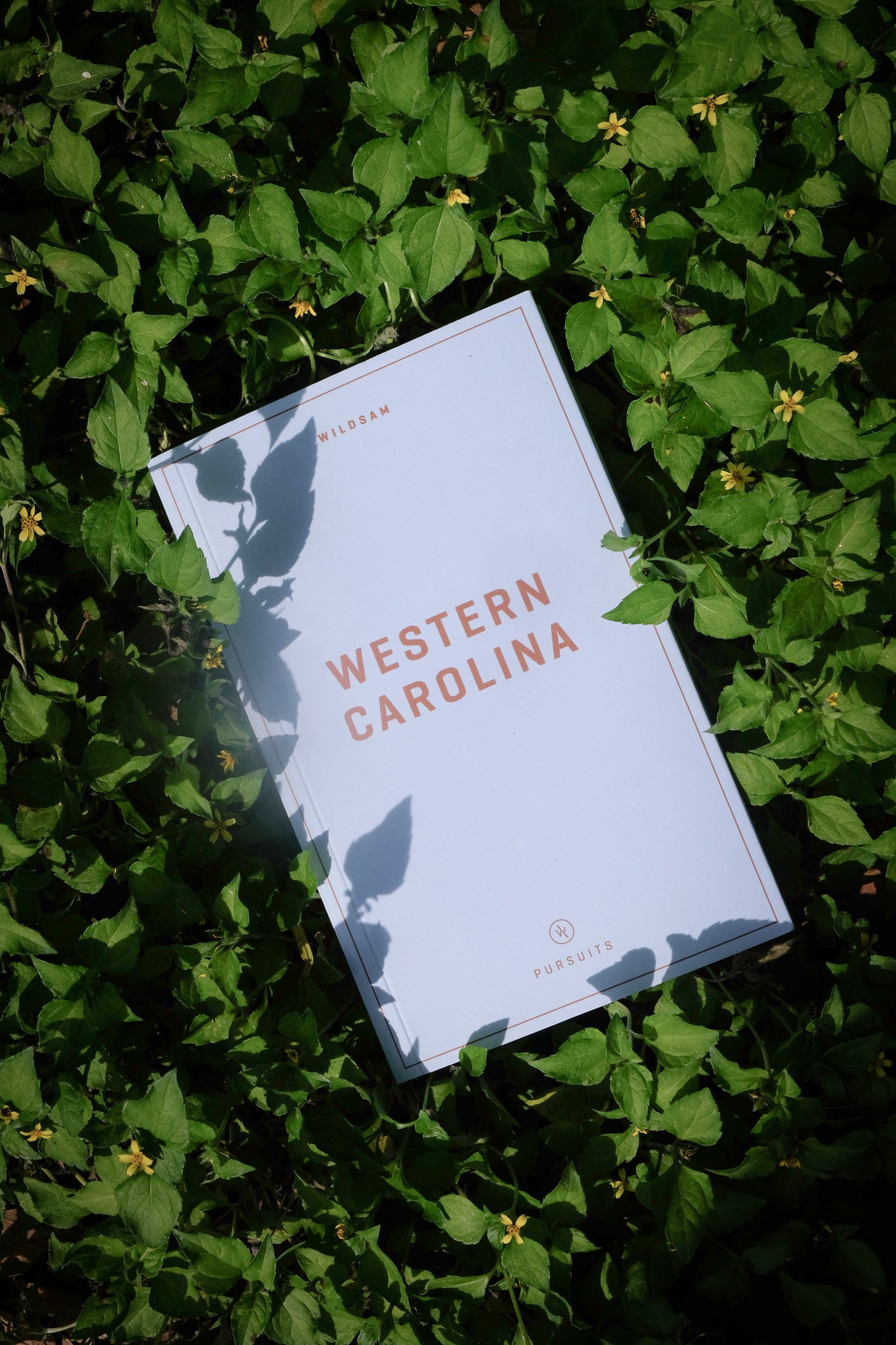 WESTERN CAROLINA