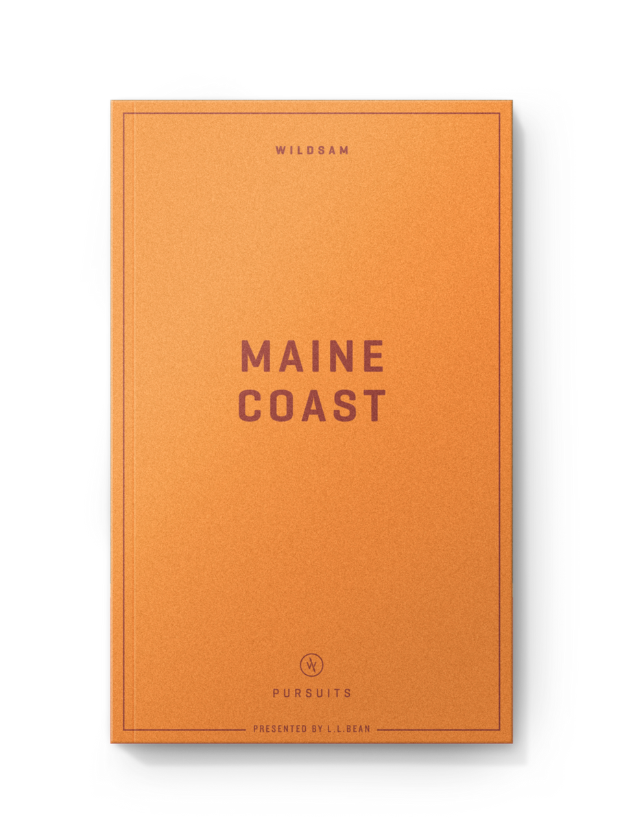 MAINE COAST
