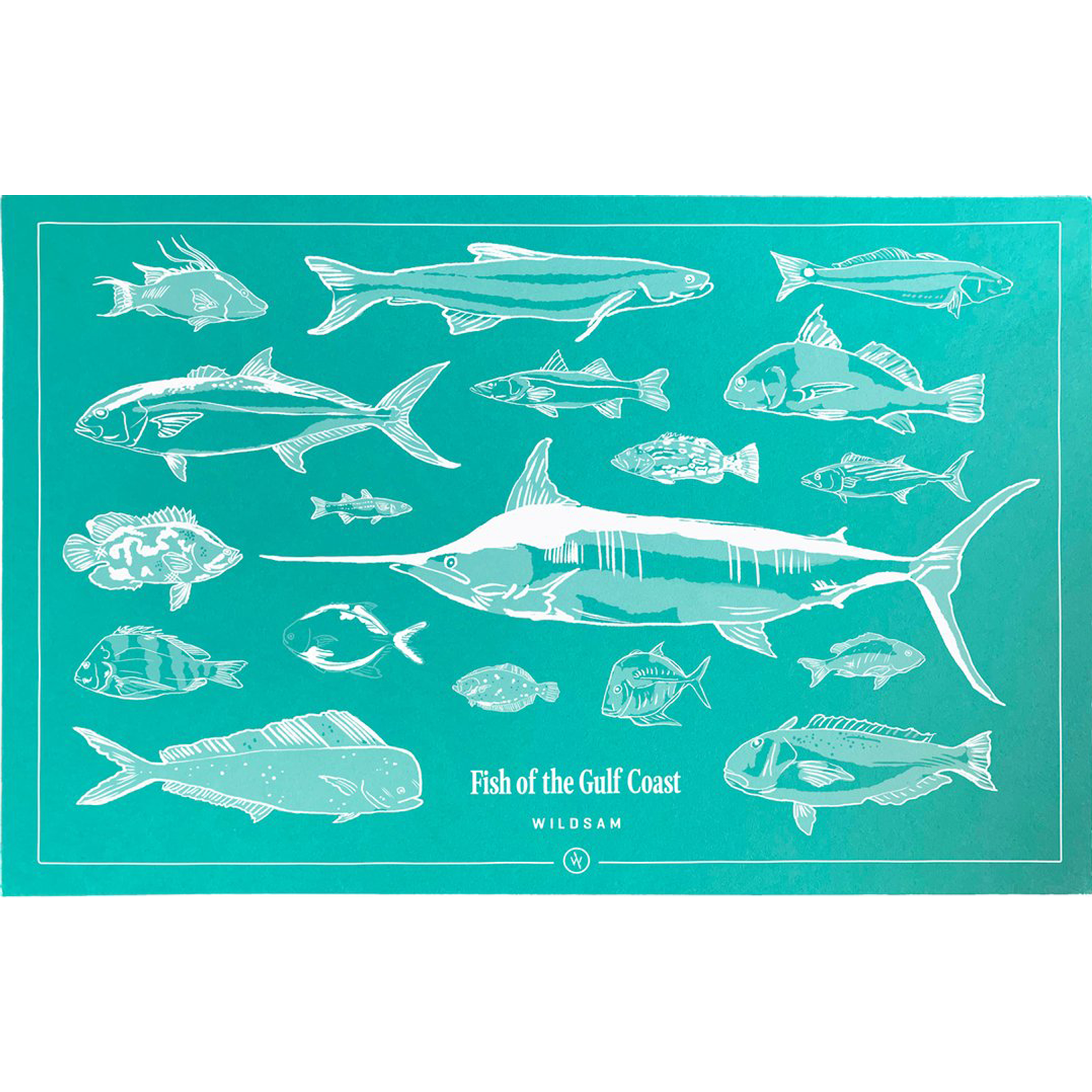 Gulf best sale coast fish